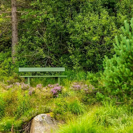 Ferienhaus With Jacuzzi And Stream In Krageland *